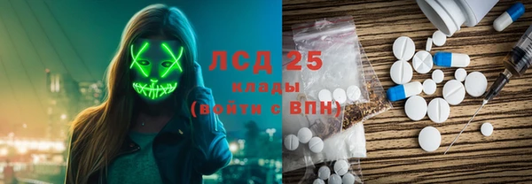 мяу мяу мука Бородино