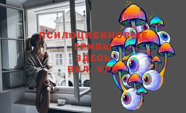 мяу мяу мука Бородино