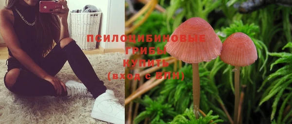 мяу мяу мука Бородино