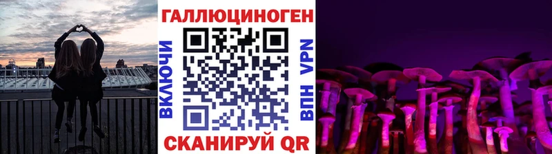 Купить  Кочубеевское  Псилоцибиновые грибы GOLDEN TEACHER 